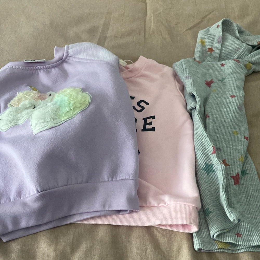 Toddler girl’s sweatshirt bundle